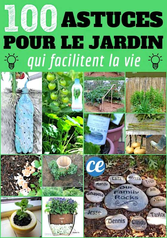 découvrez les meilleures astuces shockgarden pour optimiser l'entretien et l'aménagement de votre jardin. conseils pratiques pour un espace vert florissant et harmonieux.