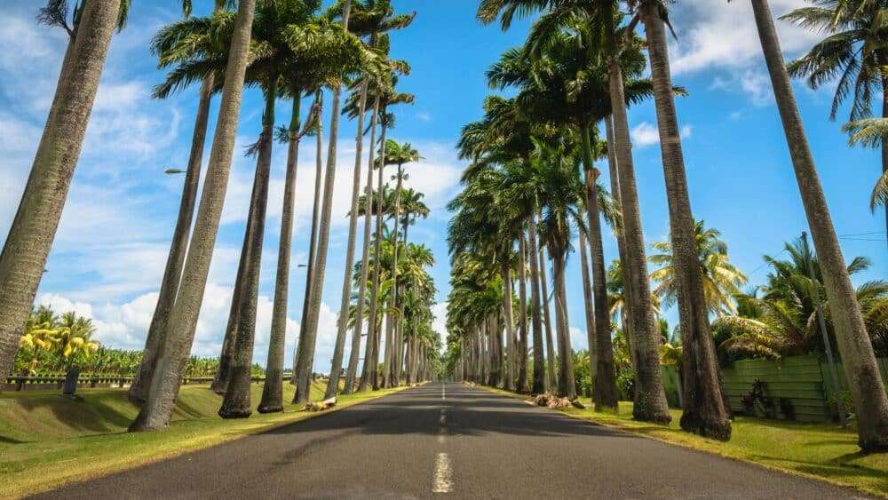 découvrez la quantité de rhum autorisée à ramener de guadeloupe en 2023, les règles douanières à respecter et les conseils pour profiter sereinement de votre séjour.