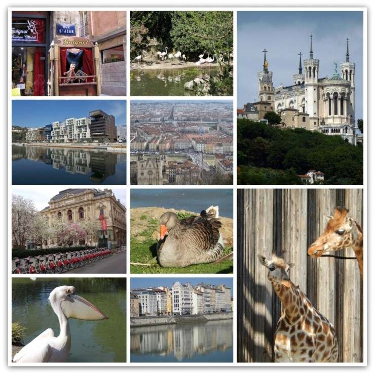 découvrez les souvenirs authentiques et les spécialités culinaires incontournables de lyon, véritable capitale de la gastronomie française.