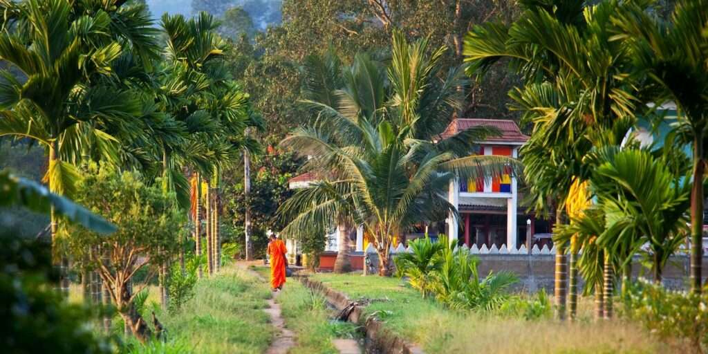 découvrez les souvenirs incontournables du sri lanka, entre artisanat traditionnel, épices exotiques et textiles colorés, pour emporter un peu de cette île magique chez vous.
