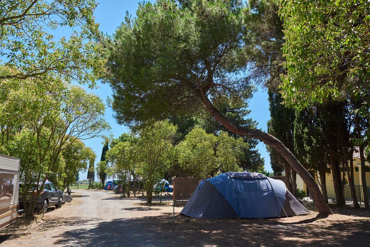 découvrez des campings proches de l'étang de thau pour un séjour nature inoubliable entre mer et lagune.