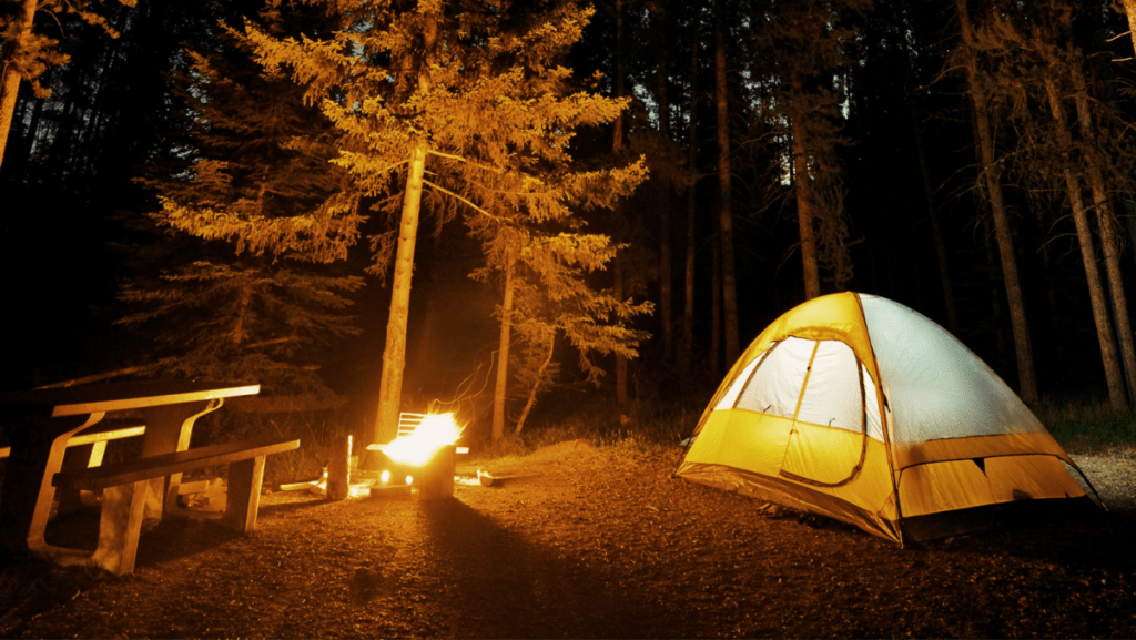 découvrez nos campings de qualité pour des séjours inoubliables en pleine nature. profitez de locations confortables et d'activités variées adaptées à toute la famille.