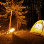 Découvrez le camping de la prairie au crotoy : un séjour nature inoubliable