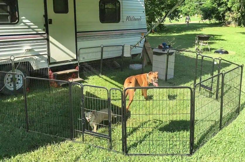 découvrez notre terrain de camping clôturé spécialement conçu pour les chiens, offrant un espace sécurisé et confortable où vos animaux peuvent jouer en toute liberté.